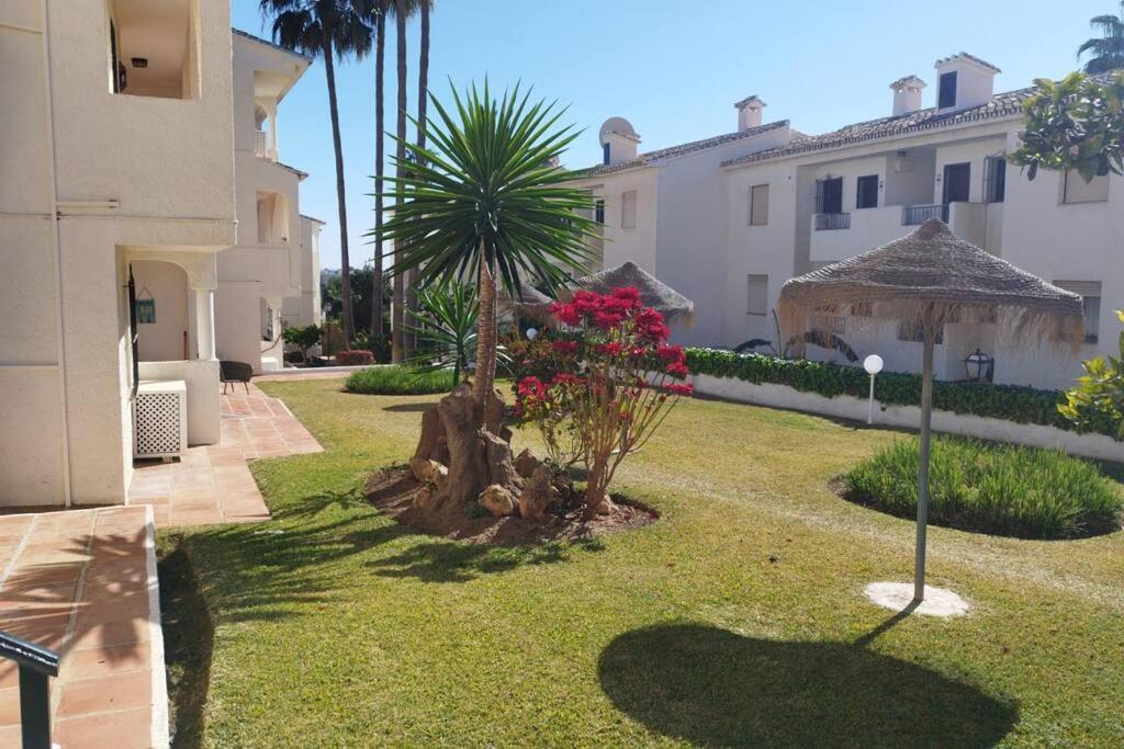 Apartment Farolas Sun & Sea *